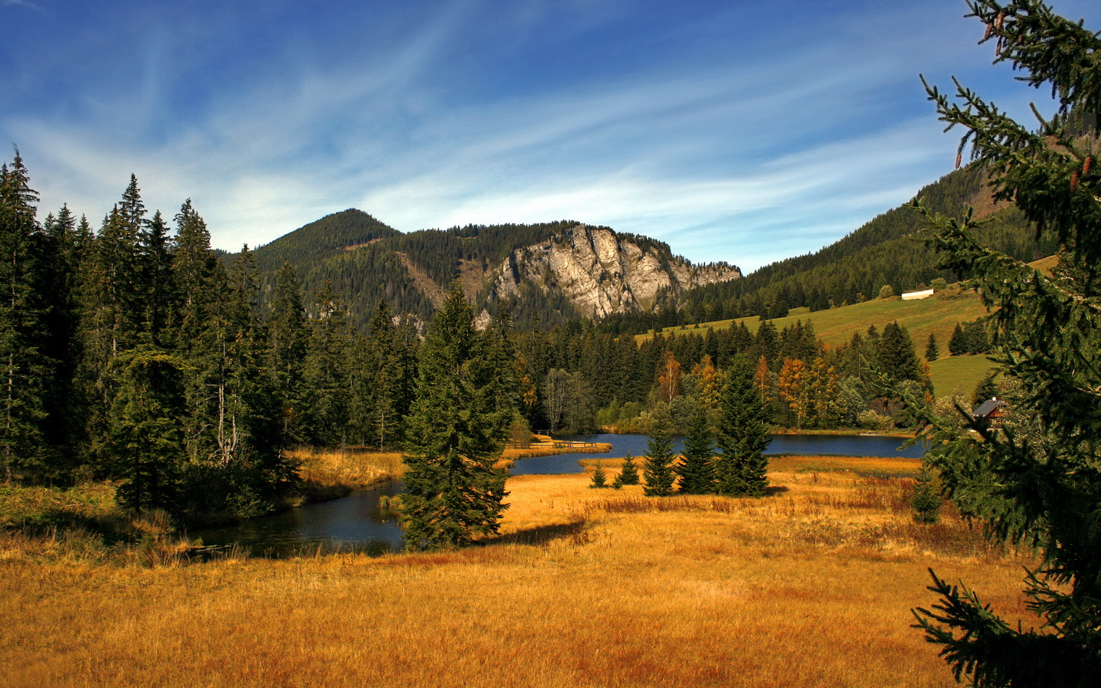 九游游戏在线玩-《星际争霸2》赛事观众技术水平：核心玩家的专业分析与深度理解